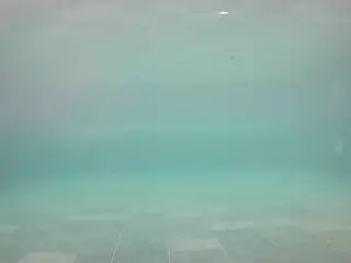 voyeurcam casa salsa pool 1's Live Sex Cam Show