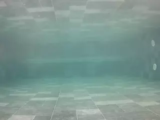 voyeurcam casa salsa pool 1's Live Sex Cam Show