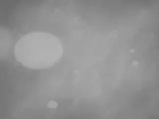 voyeurcam casa salsa pool 1's Live Sex Cam Show