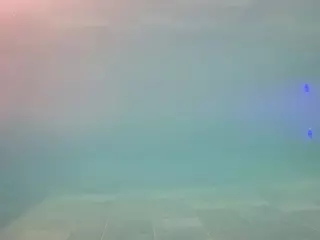 voyeurcam casa salsa pool 1's Live Sex Cam Show