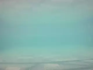 voyeurcam casa salsa pool 1's Live Sex Cam Show