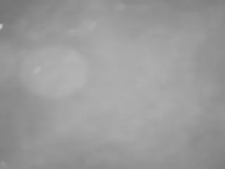 voyeurcam casa salsa pool 1's Live Sex Cam Show