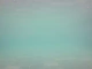 voyeurcam casa salsa pool 1's Live Sex Cam Show