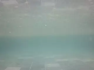 voyeurcam casa salsa pool 1's Live Sex Cam Show