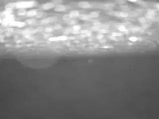 voyeurcam casa salsa pool 1's Live Sex Cam Show