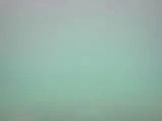 voyeurcam casa salsa pool 1's Live Sex Cam Show