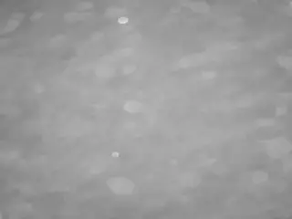 voyeurcam casa salsa pool 1's Live Sex Cam Show
