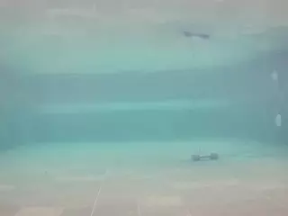 voyeurcam casa salsa pool 1's Live Sex Cam Show