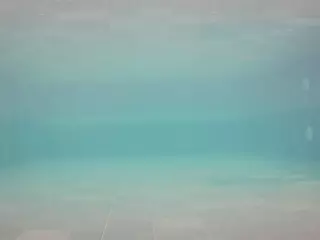 voyeurcam casa salsa pool 1's Live Sex Cam Show