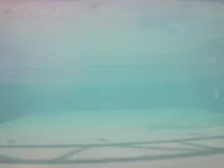 voyeurcam casa salsa pool 1's Live Sex Cam Show