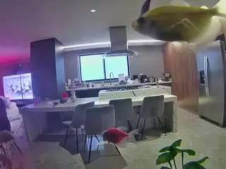 voyeurcam casa salsa fishtank's Live Sex Cam Show