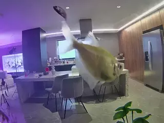 voyeurcam casa salsa fishtank's Live Sex Cam Show