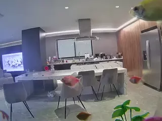 voyeurcam casa salsa fishtank's Live Sex Cam Show