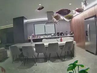 voyeurcam casa salsa fishtank's Live Sex Cam Show