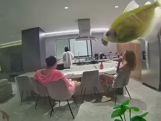 voyeurcam casa salsa fishtank's Live Sex Cam Show