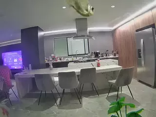 voyeurcam casa salsa fishtank's Live Sex Cam Show