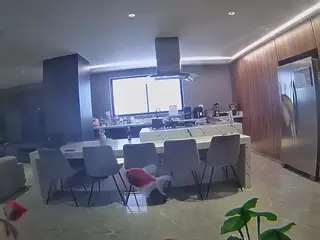 voyeurcam casa salsa fishtank's Live Sex Cam Show