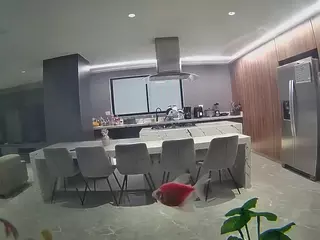 voyeurcam casa salsa fishtank's Live Sex Cam Show