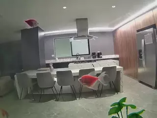 voyeurcam casa salsa fishtank's Live Sex Cam Show
