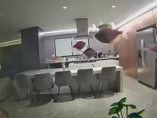voyeurcam casa salsa fishtank's Live Sex Cam Show