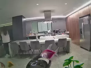 voyeurcam casa salsa fishtank's Live Sex Cam Show