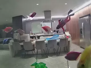 voyeurcam casa salsa fishtank's Live Sex Cam Show