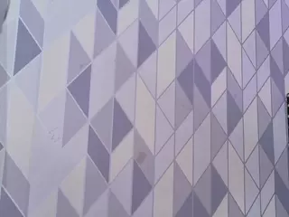 Selena's Live Sex Cam Show