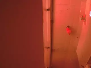 voyeurcam casa salsa shower 1's Live Sex Cam Show