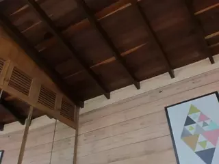 AmmyScott's Live Sex Cam Show