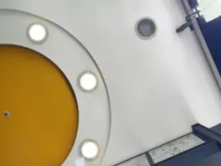Selene Cano's Live Sex Cam Show