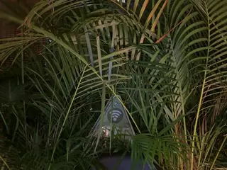 Selene Cano's Live Sex Cam Show