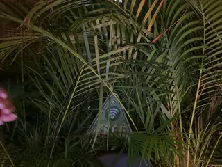 Selene Cano's Live Sex Cam Show
