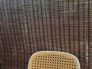 Selene Cano's Live Sex Cam Show