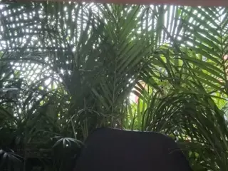 Selene Cano's Live Sex Cam Show
