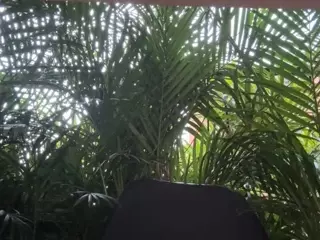 Selene Cano's Live Sex Cam Show