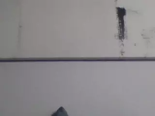 KayleeJ's Live Sex Cam Show