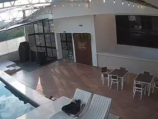 voyeurcam casa salsa panoramic's Live Sex Cam Show