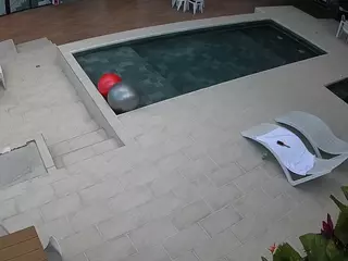 voyeurcam casa salsa rooftop's Live Sex Cam Show