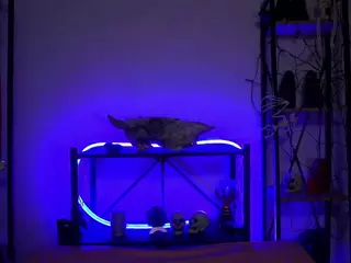 CyberXGoddess's Live Sex Cam Show