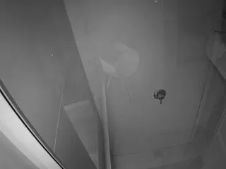 voyeurcam casa salsa bathroom 10's Live Sex Cam Show