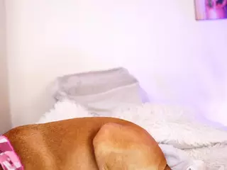 Mandylucha's Live Sex Cam Show