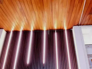 Ambar's Live Sex Cam Show