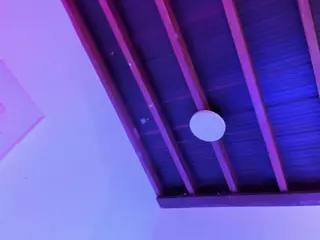 Sofievanss's Live Sex Cam Show