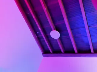 Sofievanss's Live Sex Cam Show