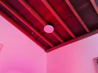Sofievanss's Live Sex Cam Show