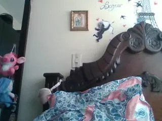 Trianabell's Live Sex Cam Show