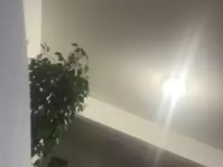 Crown Royal's Live Sex Cam Show