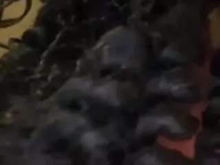 Crown Royal's Live Sex Cam Show