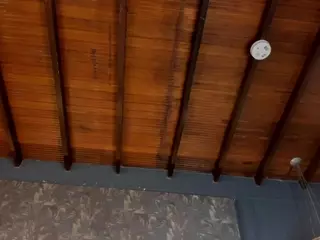 Steffany Beck's Live Sex Cam Show