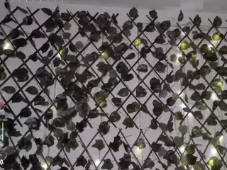 Coralinesanchez's Live Sex Cam Show